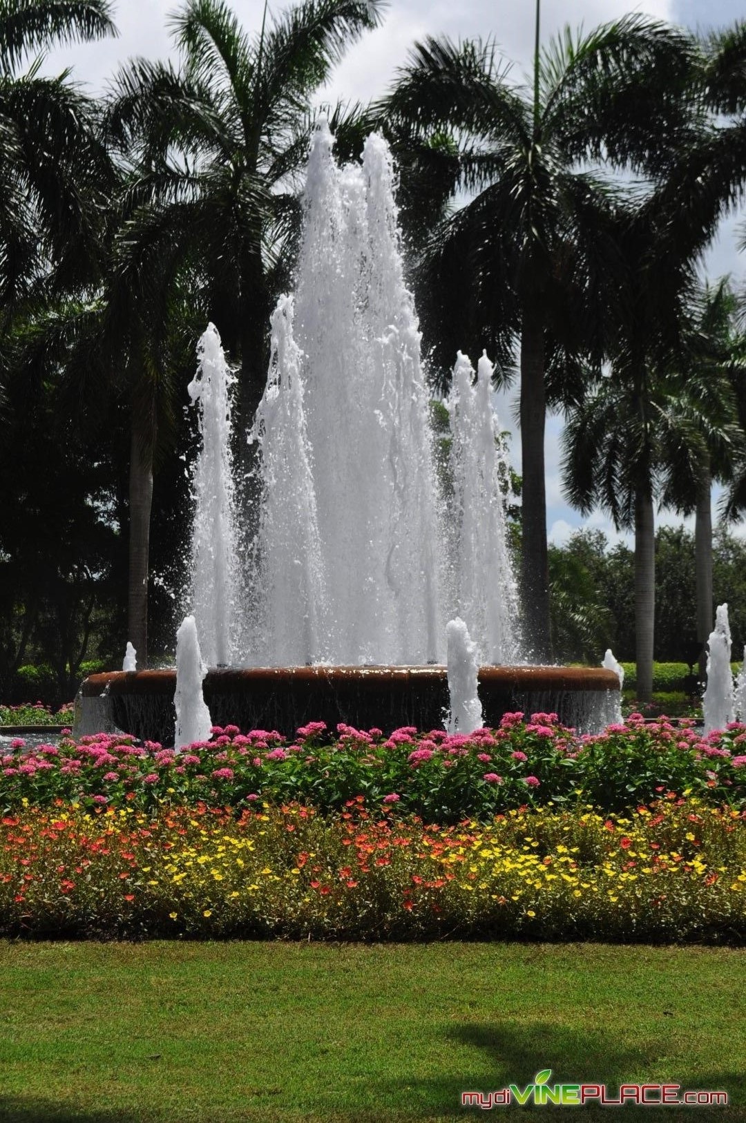 The Ritz-Carlton Golf Resort, Naples, FL