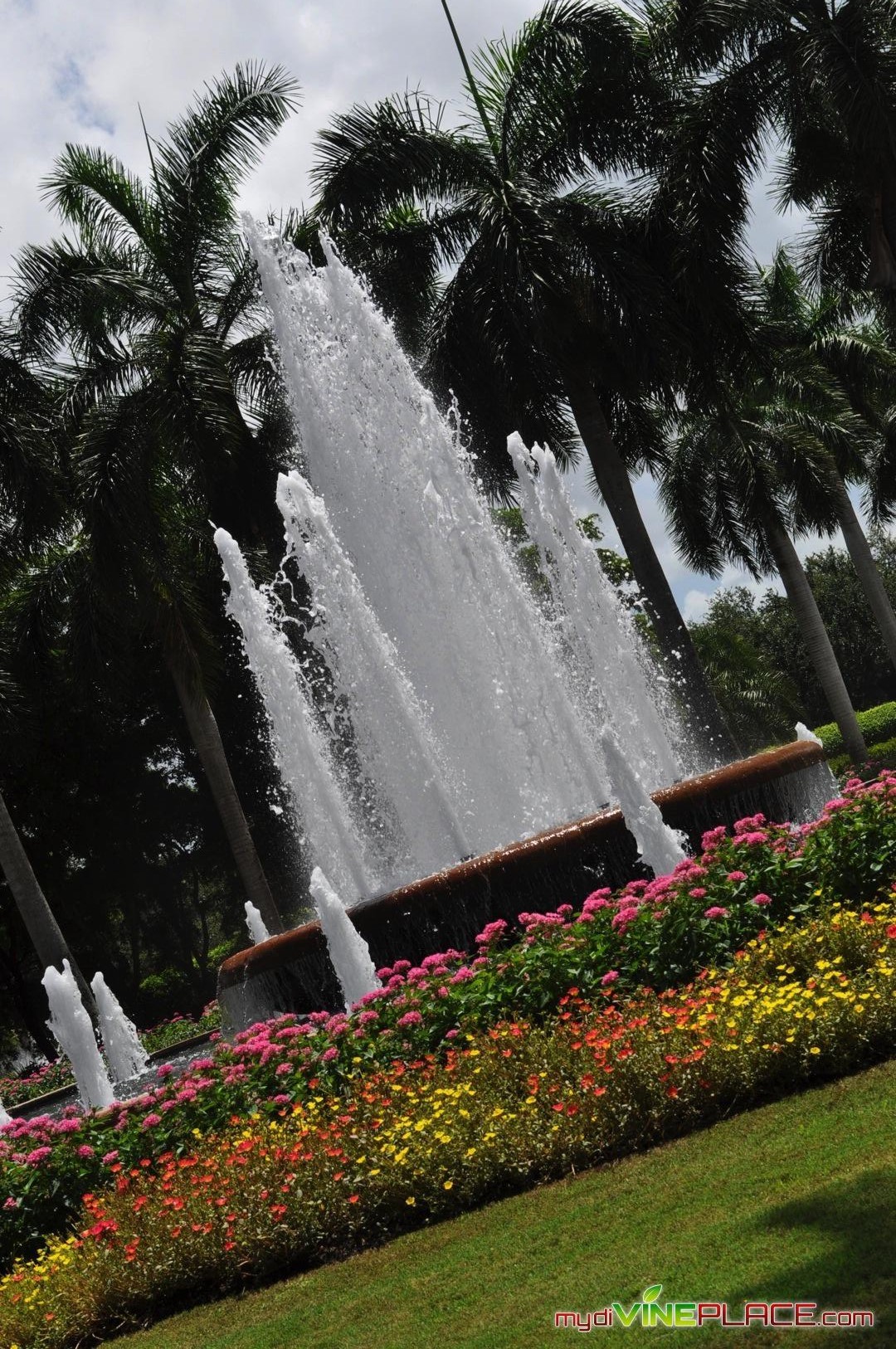 The Ritz-Carlton Golf Resort, Naples, FL