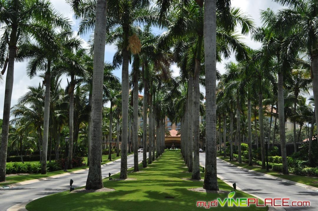 The Ritz-Carlton Golf Resort, Naples, FL